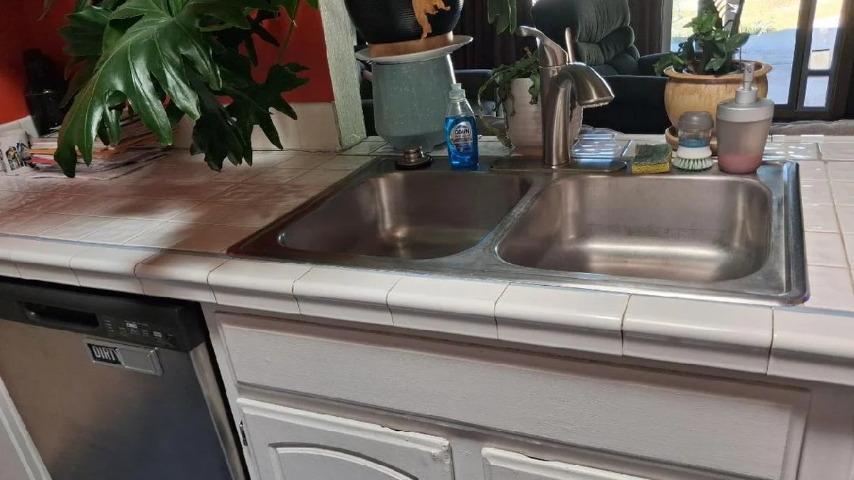 A clean stainless kitchen sink on a tiled counter with houseplants, a refillable soap pump and a dish brush